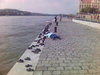 20060422-criticalmass2