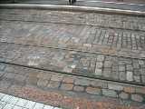 dscn0127.jpg